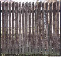 Photo Texture of Wood Planks 0009